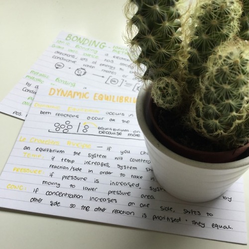 chem + cacti on a chilled sunday morning 