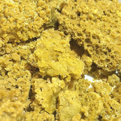 sporaqic:  Los Angeles NEW BATCH OF G’S PRIVATE RESERVE PURE NUG RUN!! GOIN FOR ONLY ำ/GRAM OR 3/GRAMS FOR ONLY ๪!! by shermanoakshealthcenter via Flickr
