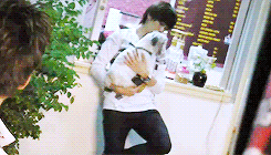 chaootic:  a duck with a dog (｡◕‿‿◕｡) 