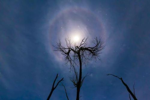 moon halo