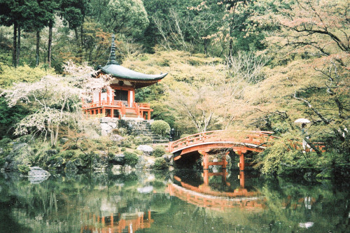 japanlove:  Untitled by wsifrancis