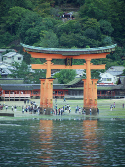 iesuuyr:     	  	 		 			Itsukushima Torii