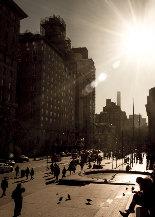 The Met Steps - 1/6/16