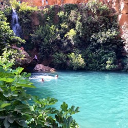 freedomismywish:  Les cascades, Tlemcen look at the colour of the water i just want to dive in