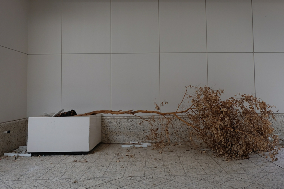 terrifiantus:  Photos taken in Rolling Acres, an abandoned mall in Akron, Ohio. This