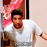 friends gifs