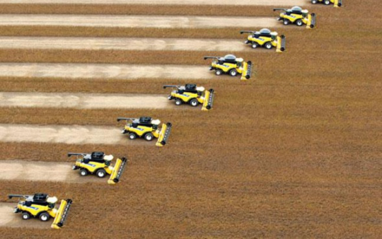 Moissoneuses dans un champ