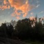 sunshineinfl