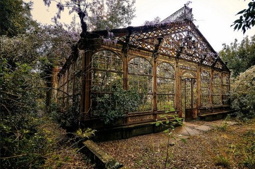 bestabandoned: Abandoned greenhouse, location unknown - Nicola Berlotti