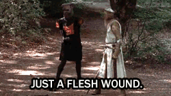 leopardheart27:  Let us strive to be as determined as the black knight in all our ventures. 