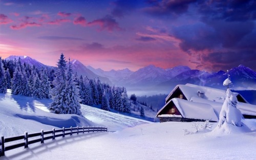Beautiful christmas images!Follow us or reblog if you like it!