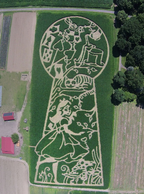 learnhowtoadult:  publishingcrawl:  bookriot:  Literary corn mazes  These are AMAZING.  aliens got eclectic taste in film and literature is all i’m sayin’ 