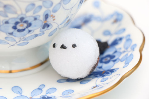 tanuki-kimono:Handmade sugar lumps shaped like fluffy snowball-like shimaenaga (silver-throated dash