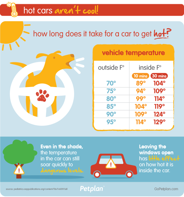 dogjournal:  THE “DRIVEN TO BARK” CAMPAIGN  Petplan has started the &lsquo;Driven