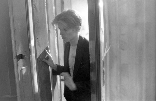 the man who fell to earth