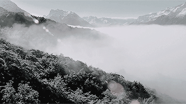 nimloth:  The Lord of the Rings: The Two Towers  dir. Peter Jackson    Look to my