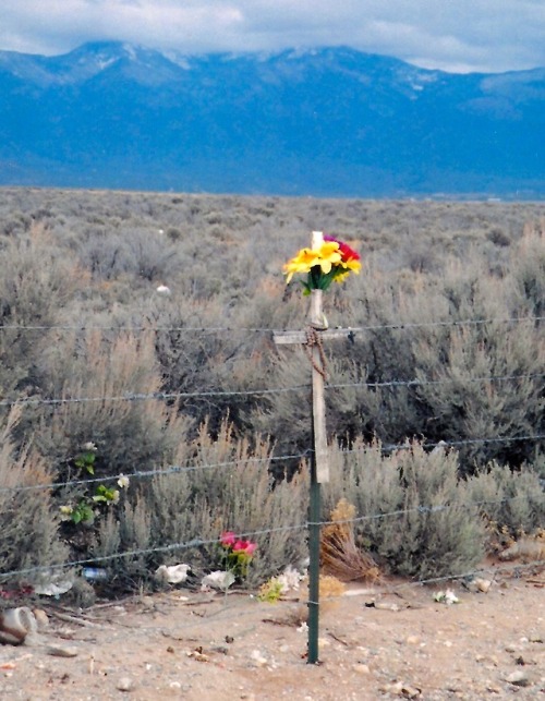 Plastic Flowers atop a Wooden Cross Attached to a Barbed Wire Fence, Near Taos, New Mexico, 2006.