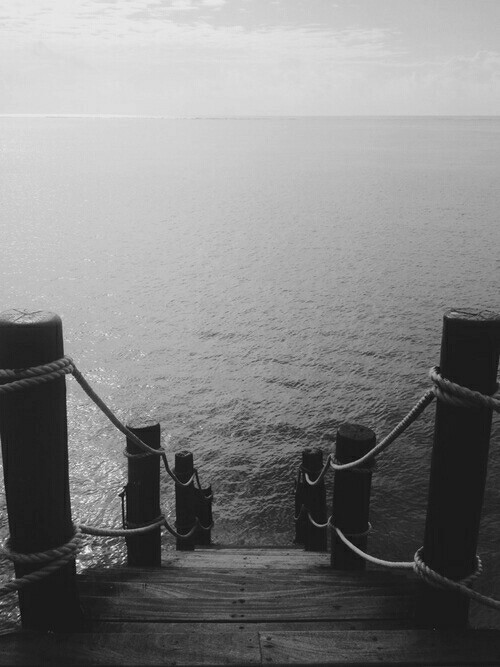 d-a-l-t-o-n-i-s-m-o:  Insta :)