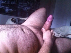 hunghairybear:  Great cock and nice belly