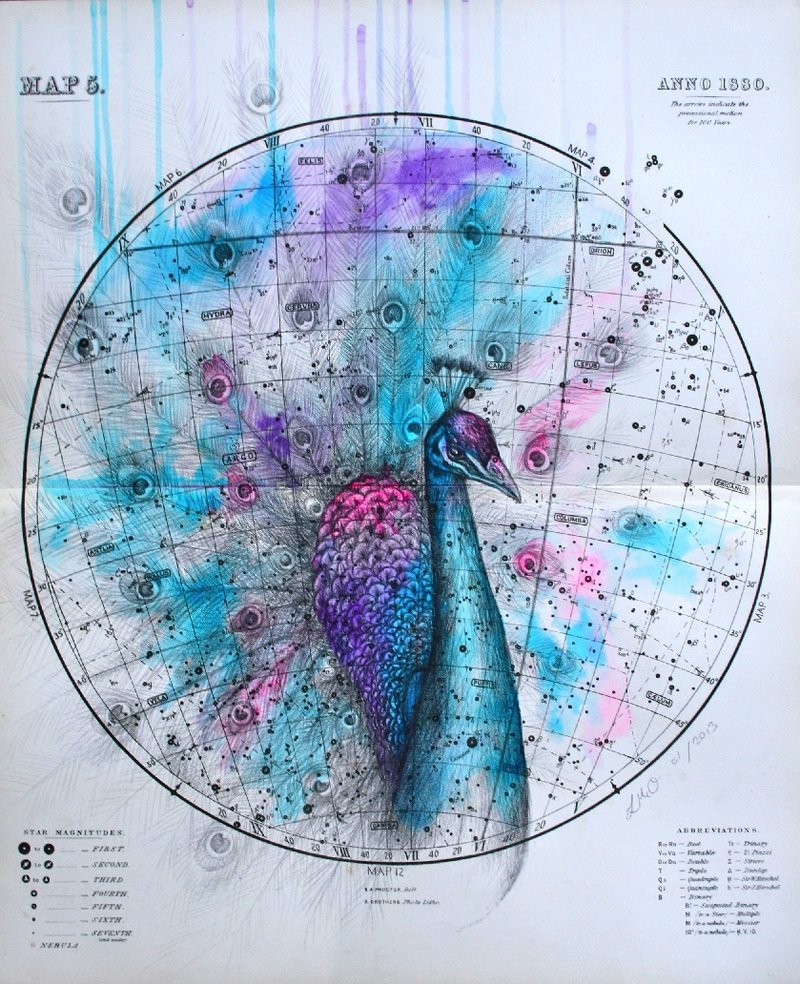 sosuperawesome:  Louise McNaught, on Tumblr  Shop