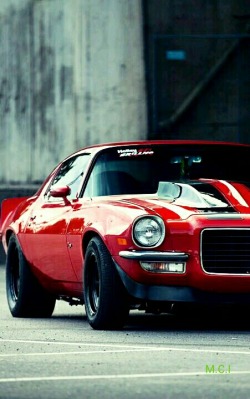 musclecarinstant:  *####*