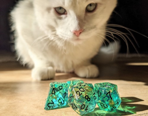  You try to steal Kiki’s dnd dice but you fail your sleight of hand check! You take 1d4+2 slashing d