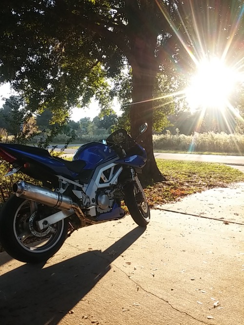 sv650