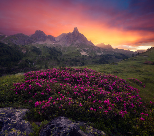 By Aurlien Bernard