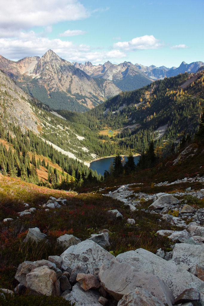 definitelydope:  (by warmsummernight)
