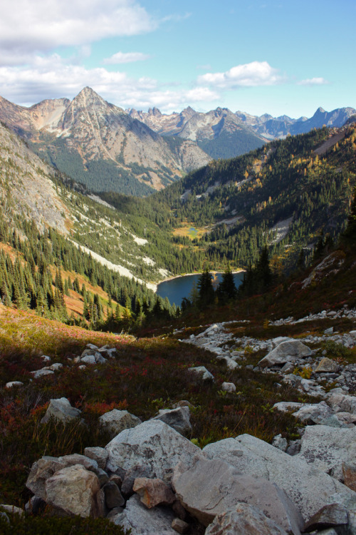 4nimalparty:  (by warmsummernight) 