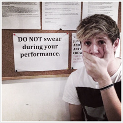 vauxn-blog:        harry styles; instagram       