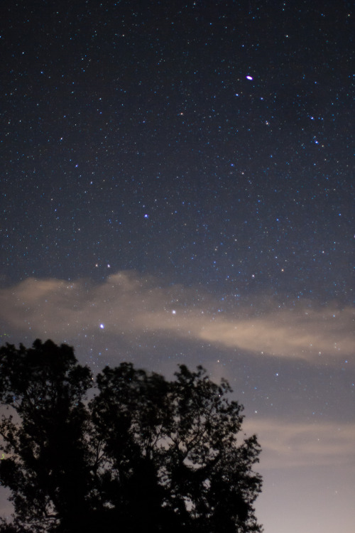 okiepokey:  Starlight.Star bright.
