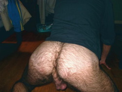 backfur:  Follow www.backfur.tumblr.com BEAR/HAIRY/MEN