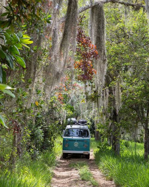 teryworldwanderlust: Hippie Bus!