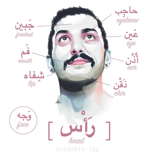 academia-jpg:arabic head vocabulary ft. hamed sinno [i saw @pavlovastudies‘ post which was inspired 