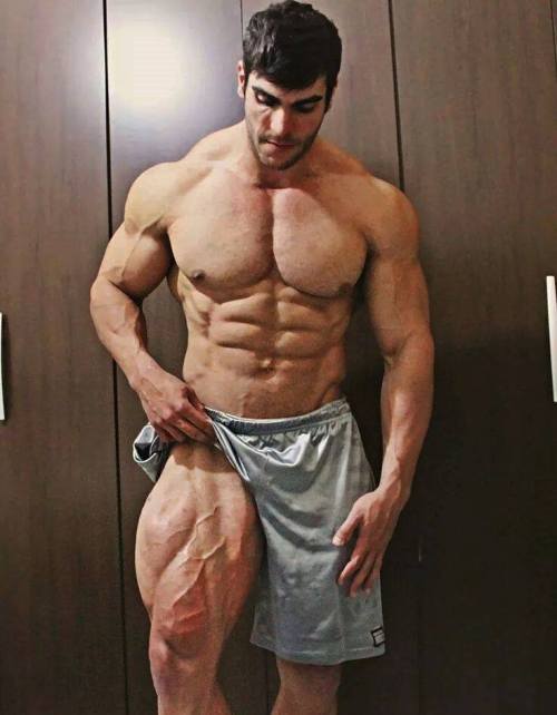 mrmusclelover:  Felipe Mattos 