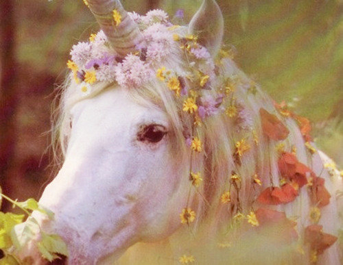 ipinguiniregneranno:  by : Larissa Ricartt | via Tumblr su @weheartit.com - http://whrt.it/12bSPEA