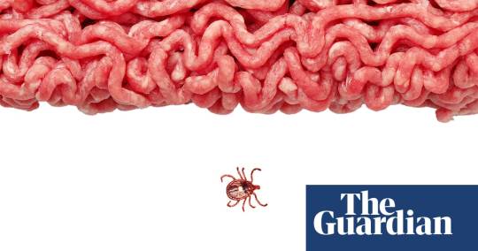 What is behind the spread of a mysterious allergy to meat?