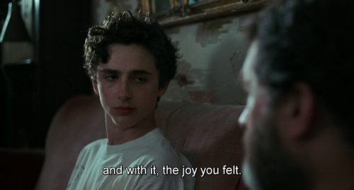 timotaychalamet:Call Me by Your Name (2017) dir. Luca Guadagnino