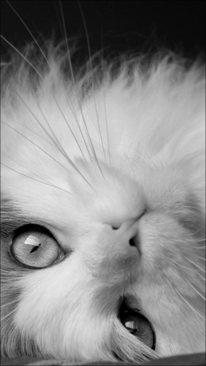 Whatcha doin Daddy?