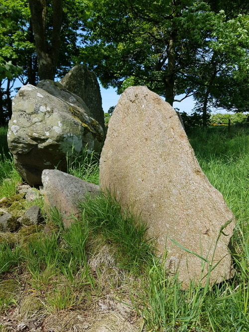 Berrybrae Recumbent Stone Circle, nr Fraserburgh,Scotland, 29.5.18. A beautifully located circle tha