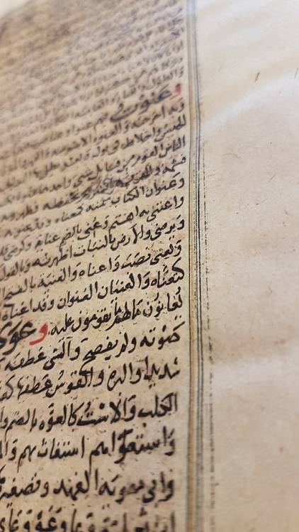 LJS 387 - Qāmūs al-muḥīṭThis manuscript, written in western Persia around the year 1400 CE, is 