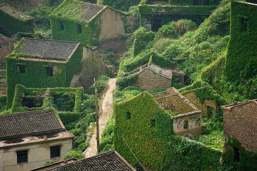 innocenttmaan:  Shengsi, an archipelago of almost 400 islands at the mouth of China’s Yangtze river, holds a secret shrouded in time – an abandoned fishing village being reclaimed by nature. These photos by Tang Yuhong, a creative photographer based