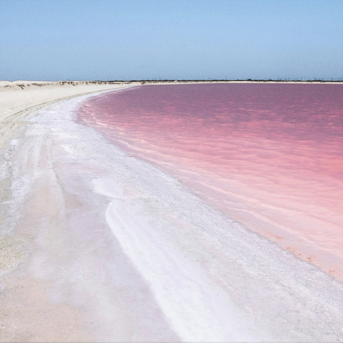 Porn Pics studiovq: Pink lakes filled with salt. The