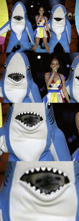 left shark