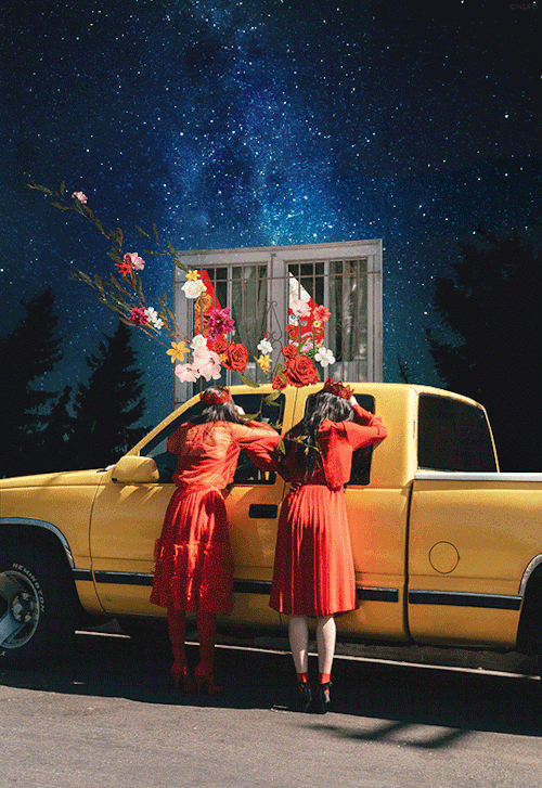 Perfect Velvet