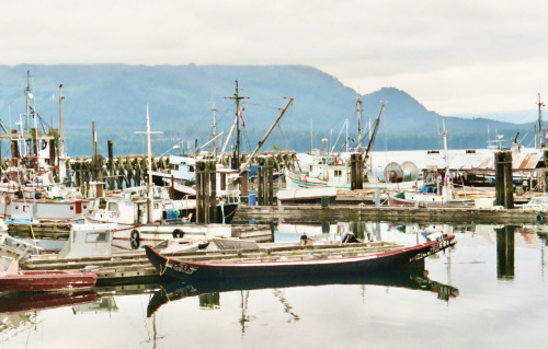 Canoe and Fishing Boats, Alert Bay, British Columbia, 2003.