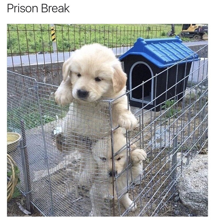 Always Plan To Have Fun