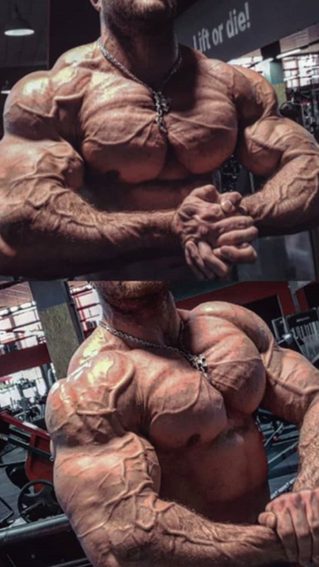 musclejake69:  