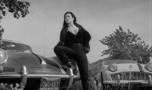 vintagewoc:Tura Satana in Faster, Pusscyat! Kill! Kill (1965)